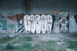 The Importance of Socialization in Dog Kennels