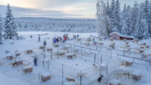 The Profitable Kennel Business Strategies for Success